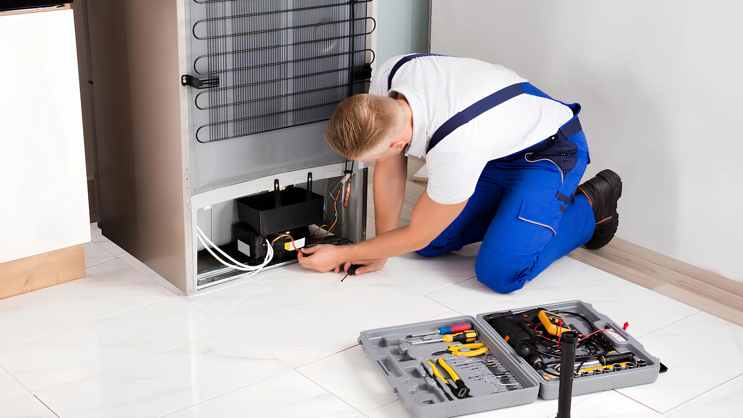 Ремонт холодильників у Бердичеві